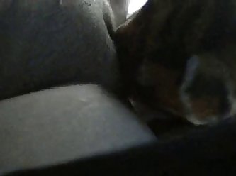 Dog Forces Owner To Fuck