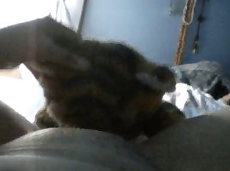 Dog Forces Owner To Fuck