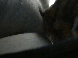 Dog Forces Owner To Fuck