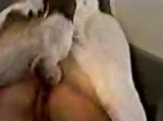 Woman Fuck Dog 2023