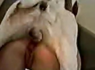 Woman Fuck Dog 2023