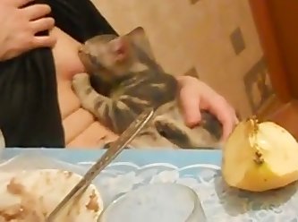 Girl Fuck Dog Onlyfans