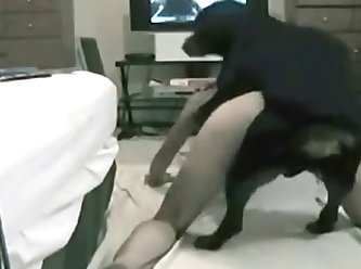 Alyssa Dog Fuck