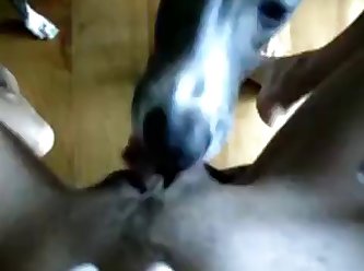 Chick Fuck A Dog