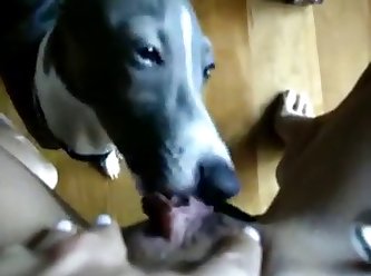Chick Fuck A Dog