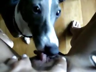 Chick Fuck A Dog
