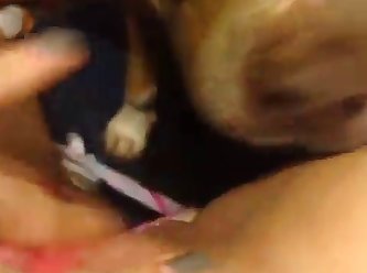 Girl Fuck Dog On Bed