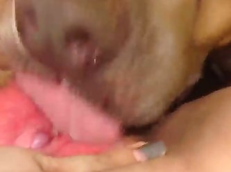 Girl Fuck Dog On Bed