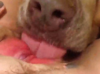 Girl Fuck Dog On Bed