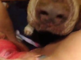 Girl Fuck Dog On Bed
