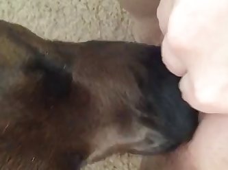 Dog Fuck Alone Girl