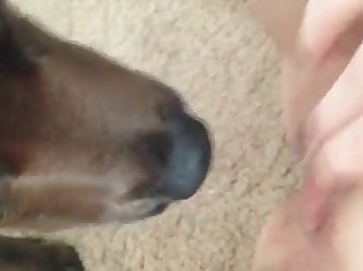 Dog Fuck Alone Girl