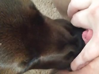 Dog Fuck Alone Girl