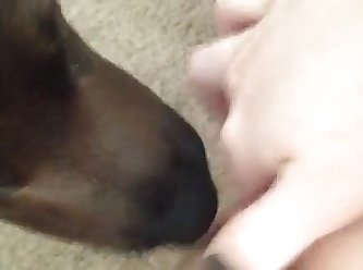 Dog Fuck Alone Girl