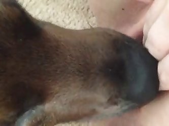 Dog Fuck Alone Girl
