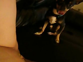 Jenny Simpson Fuck Dog