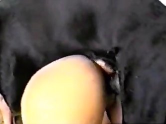 Dog Fuck Asian Girl Porn