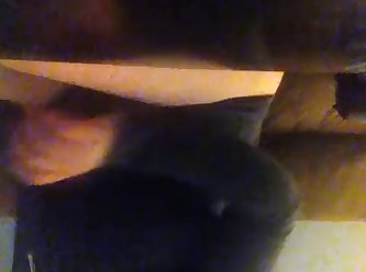 Girl Fuck Dog Close Up