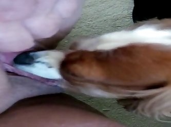Dog Fuck Girl