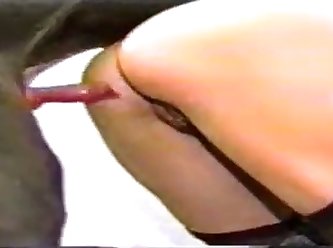 Dog Girlfriend Fuck