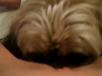 Dog Fuck Girl Amatuer