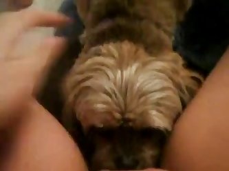 Dog Fuck Girl Amatuer