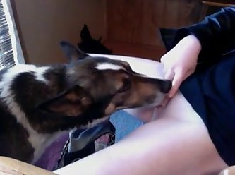 Dog Fuck Woman Xxx Videos