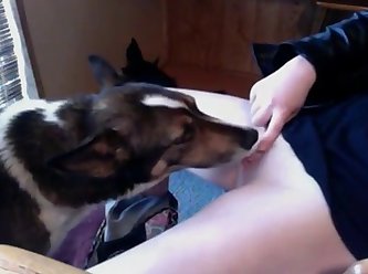 Dog Fuck Woman Xxx Videos