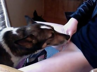 Dog Fuck Woman Xxx Videos