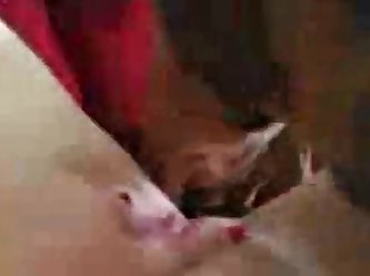 Teen Girl Fuck In Ass By Dog