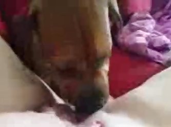 Teen Girl Fuck In Ass By Dog
