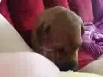 Teen Girl Fuck In Ass By Dog