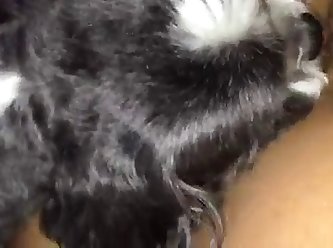 Xxx Dog Fuck Big Ass