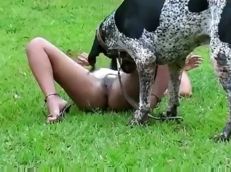 Dog Fuck A Little Girl