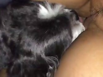 Xxx Dog Fuck Big Ass