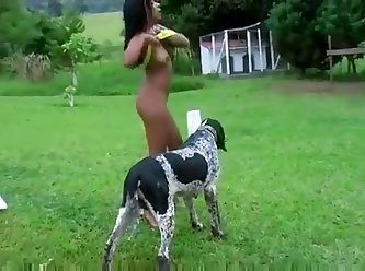 Dog Fuck A Little Girl