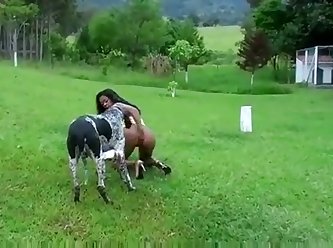 Dog Fuck A Little Girl