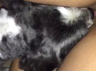 Xxx Dog Fuck Big Ass