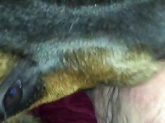 3d Dog Fuck Girl On The Street