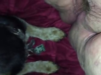 3d Dog Fuck Girl On The Street