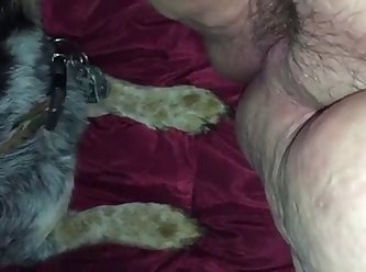 3d Dog Fuck Girl On The Street