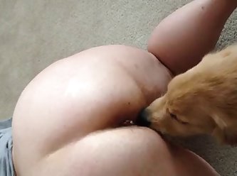 Brandon Fuck Dog