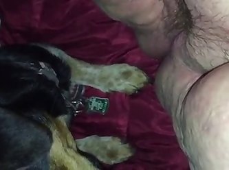 3d Dog Fuck Girl On The Street