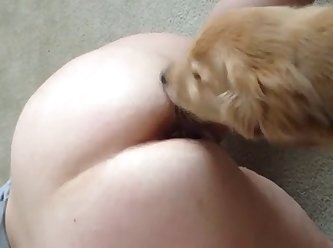 Brandon Fuck Dog