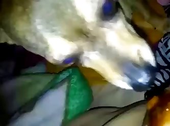 Slut Lets Dog Fuck Her