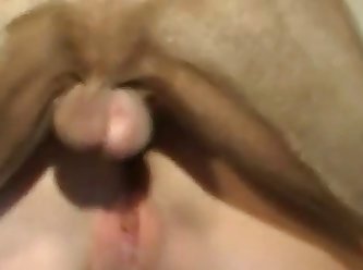 Dog Fuck Asian Pussy