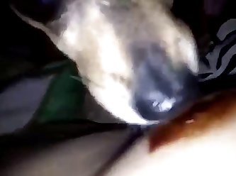 Slut Lets Dog Fuck Her