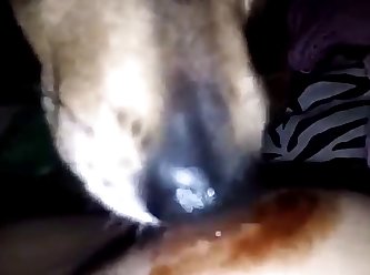 Slut Lets Dog Fuck Her