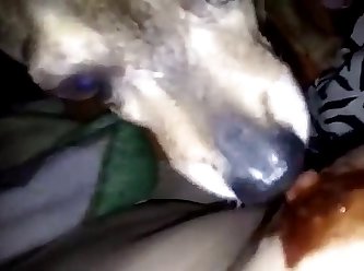 Slut Lets Dog Fuck Her