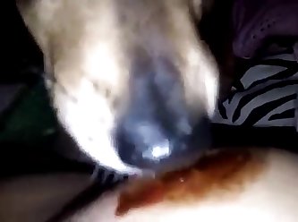 Slut Lets Dog Fuck Her